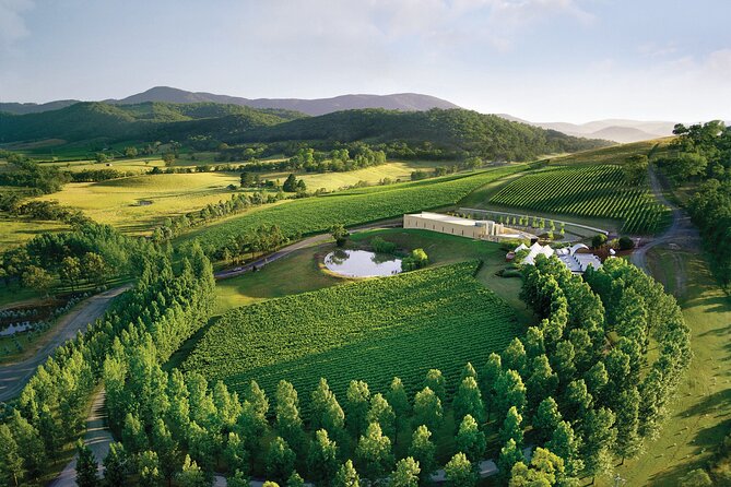 Yarra Valley Wineries Private Day Tour - The morning drive from Melbourne