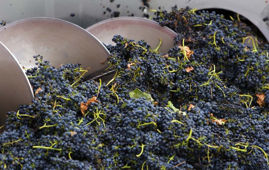 Yarra Valley: Winery Tour with Lunch at Yering Station - Yering Station combines wine, art, and lunch